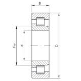 110 mm x 200 mm x 69,8 mm  ISO NJ3222 cylindrical roller bearings